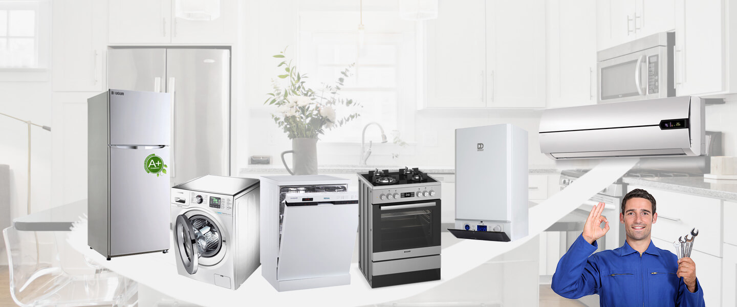 Bornova Philips Servisi